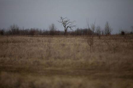 When should public land be sold? Environmentalists say rarely. Forest preserve officials say deals can benefit communities.