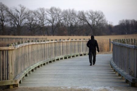 Wetland mitigation can be beneficial, but not all projects are equal, environmentalists say