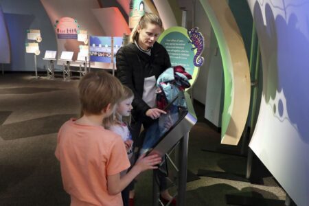 New center at Peggy Notebaert museum aims to demystify sustainability