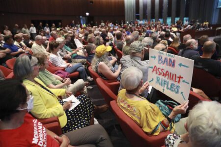 Naperville council adjusts some provisions in assault weapon ban after dozens weigh in on the issue pro and con