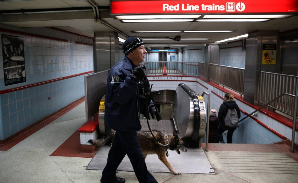 CTA bringing back security dogs, three years after removing them from train platforms