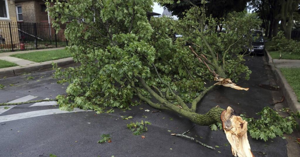 ‘Small trees, large branches down’ from earlier round of storms; chance for more ‘well south’ of Chicago, Weather Service says