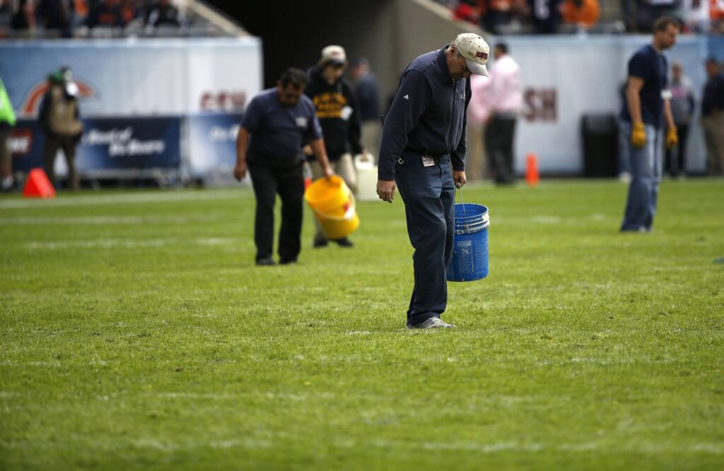 Soldier Field gets a new Bermuda grass surface. The Chicago Bears hope it’s stronger, faster and safer.