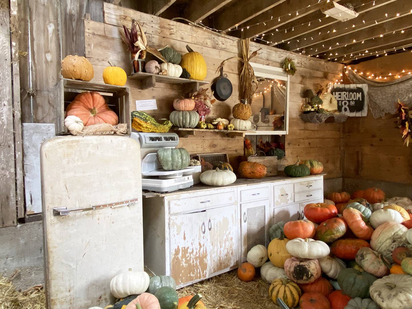 The small, detailed scenes created by Mikaya Huggins, general manager at Sugar Grove Pumpkin Farm, make the perfect setting for Instagram-worthy photos.