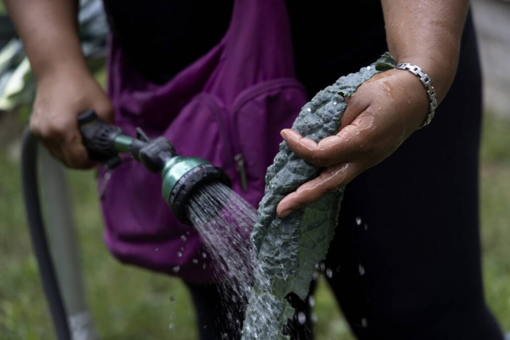 As climate change speaks loudly through heat waves, flooding and wildfires, here are five things you can do to try to turn the tide