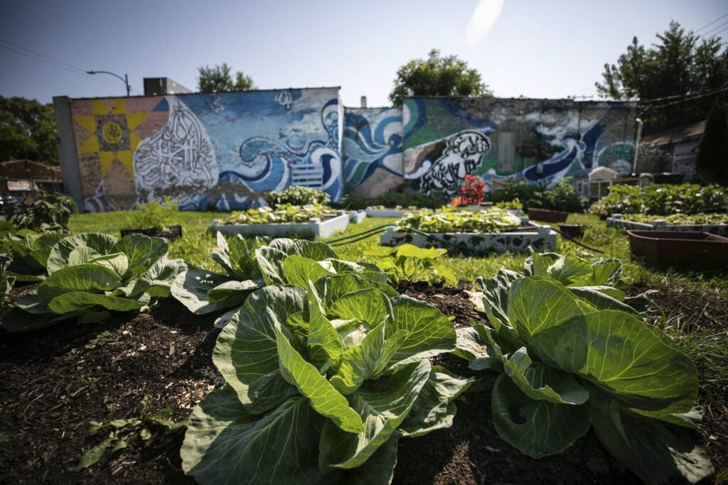 Gregory Bratton tends to 100 community gardens. Now he’s fighting cancer and needs help.