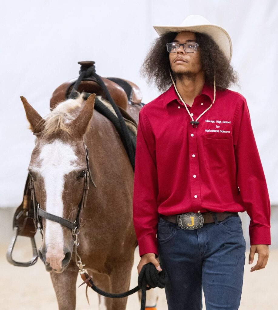 Group donates 3 horses to Chicago high school to provide equitable resources in agriculture: ‘It is more than just riding a horse’