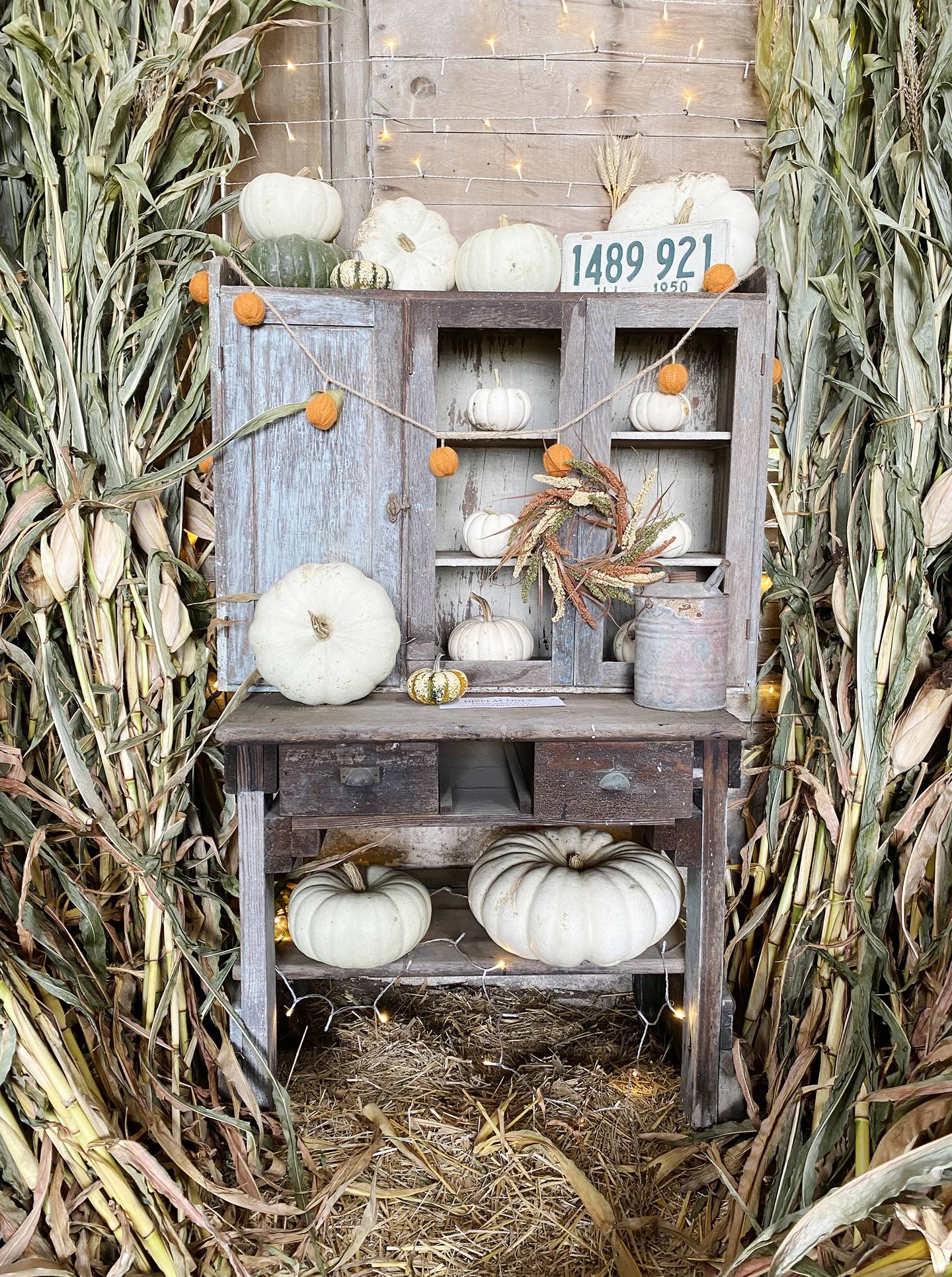 There are no animals, hayrides or concessions at Sugar Grove Pumpkin Farm, 4S041 Merrill Road, Sugar Grove. Fall decor is the focus and interesting displays such as this one inside the barn give visitors great ideas to try at home.