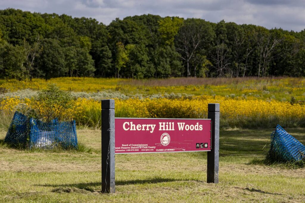 Body of water in Cook County renamed by the Department of the Interior to omit slur, one of 650 across US