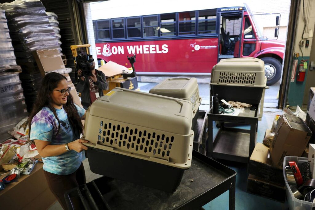 Fit for a “Princess:” 35 pets arrive safely in downtown Chicago from hurricane-ravaged Florida