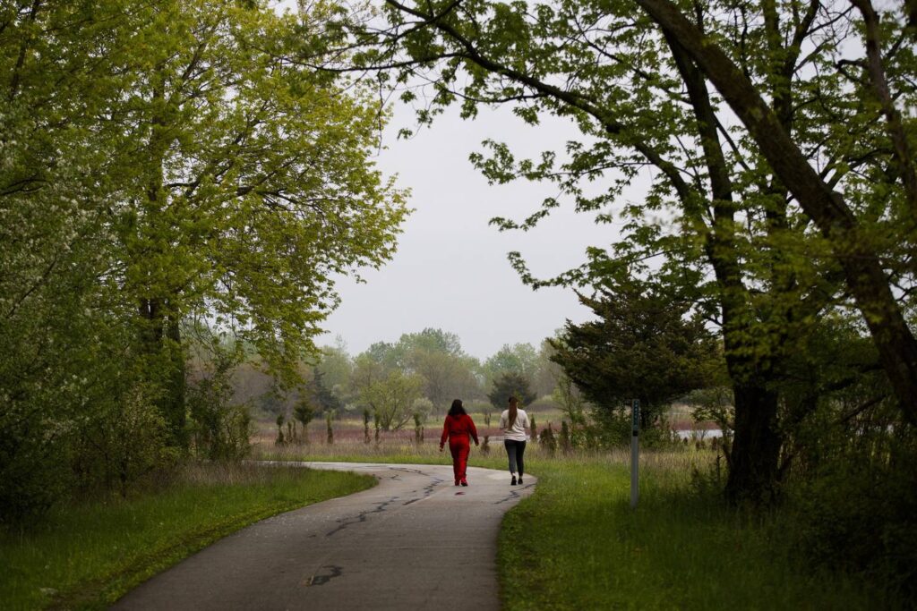 Will Cook County voters back higher taxes for forest preserves?