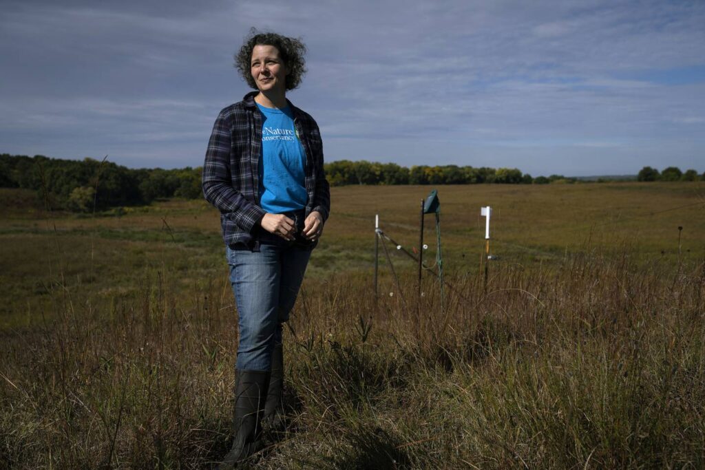 Behind the scenes at Nachusa Grasslands, where animals from mice to bison find stability