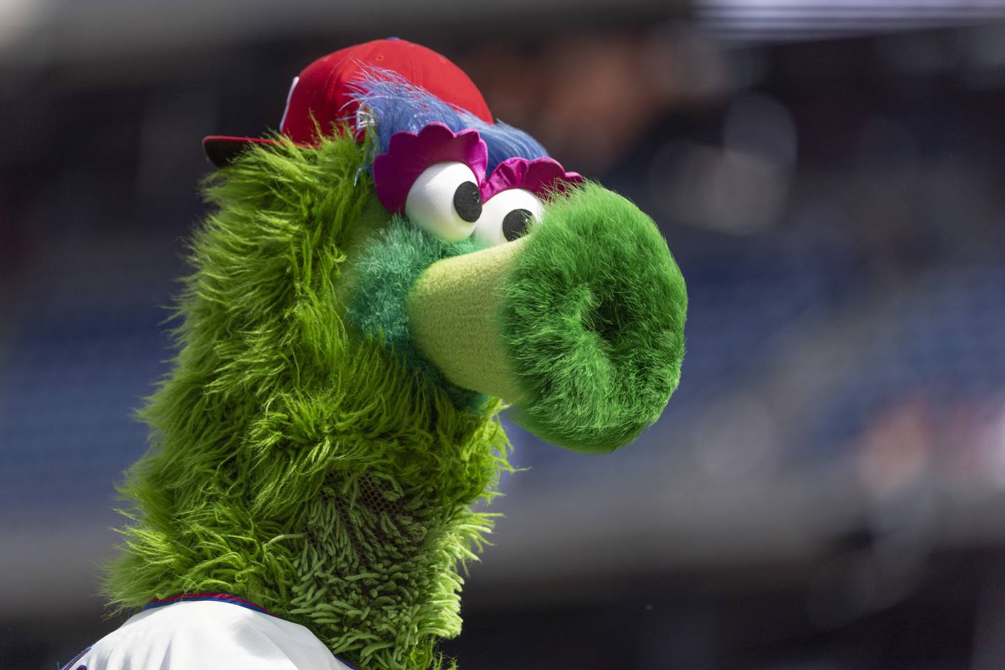The Phillie Phanatic takes the field during a game against the Braves on on Sept. 25 in Philadelphia. 