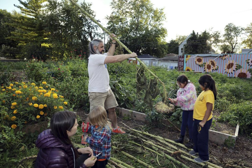 Don’t throw away sunflowers stalks and other dried plants. Here’s how to build a pollinator nest.