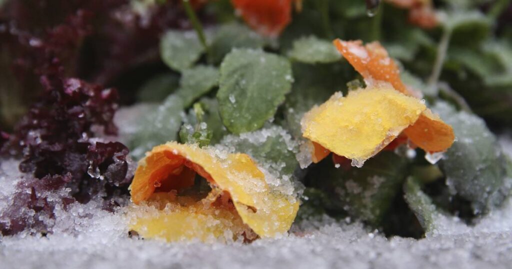 Season’s first ‘burst of snow’ possible Monday in Chicago