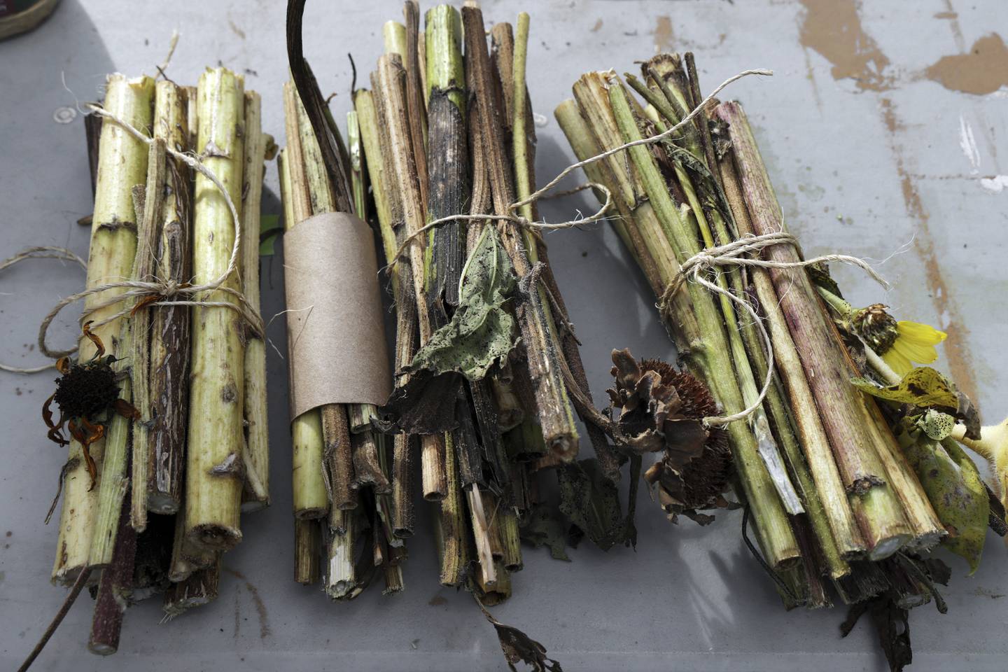 Bundles of natural material made into pollinator nests at Star Farm.