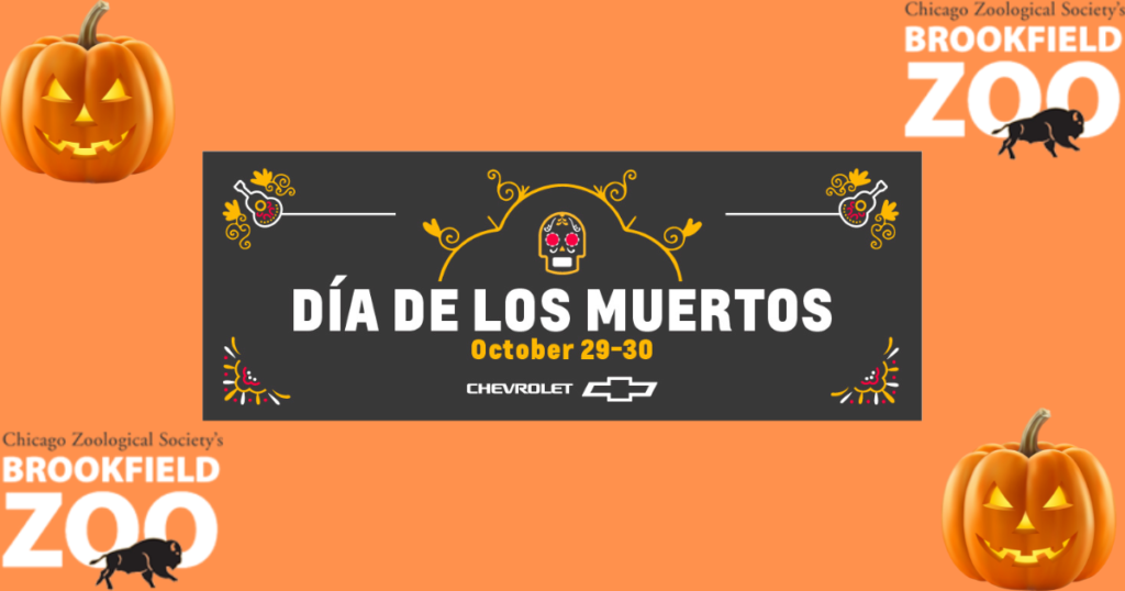 Come Alive to celebrate Day of the Dead at Brookfield Zoo