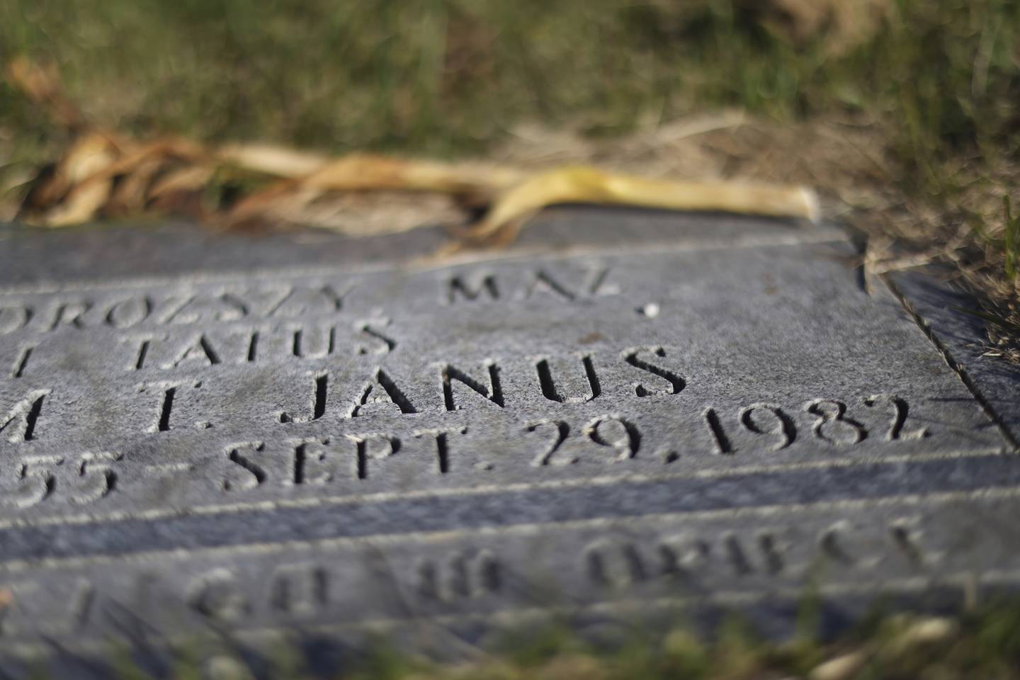 The grave of Adam Janus is at Maryhill Catholic Cemetery in Niles. A false tip about the Tylenol murders and the deaths of Adam, Stanley and Terri Janus in 2006 proved to be a catalyst for a new Tylenol task force.