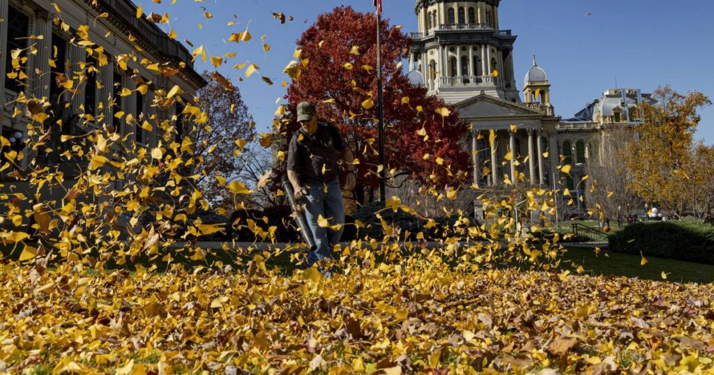 In year’s final session, Illinois legislators set to consider changes to SAFE-T Act but likely to leave gun control, abortion for 2023