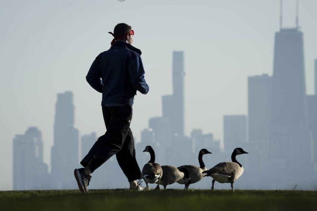Watch your step! There really are more Canada geese wintering in Chicago.
