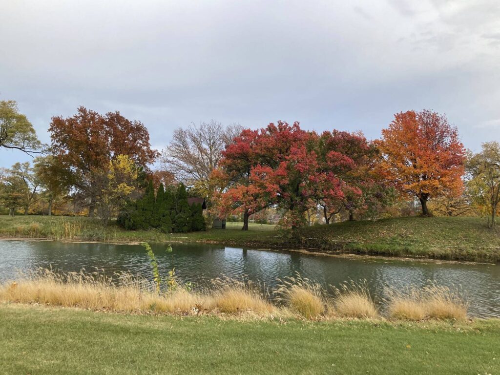 Landmarks: Greens and green space get equal billing as historic Ravisloe Country Club becomes an arboretum