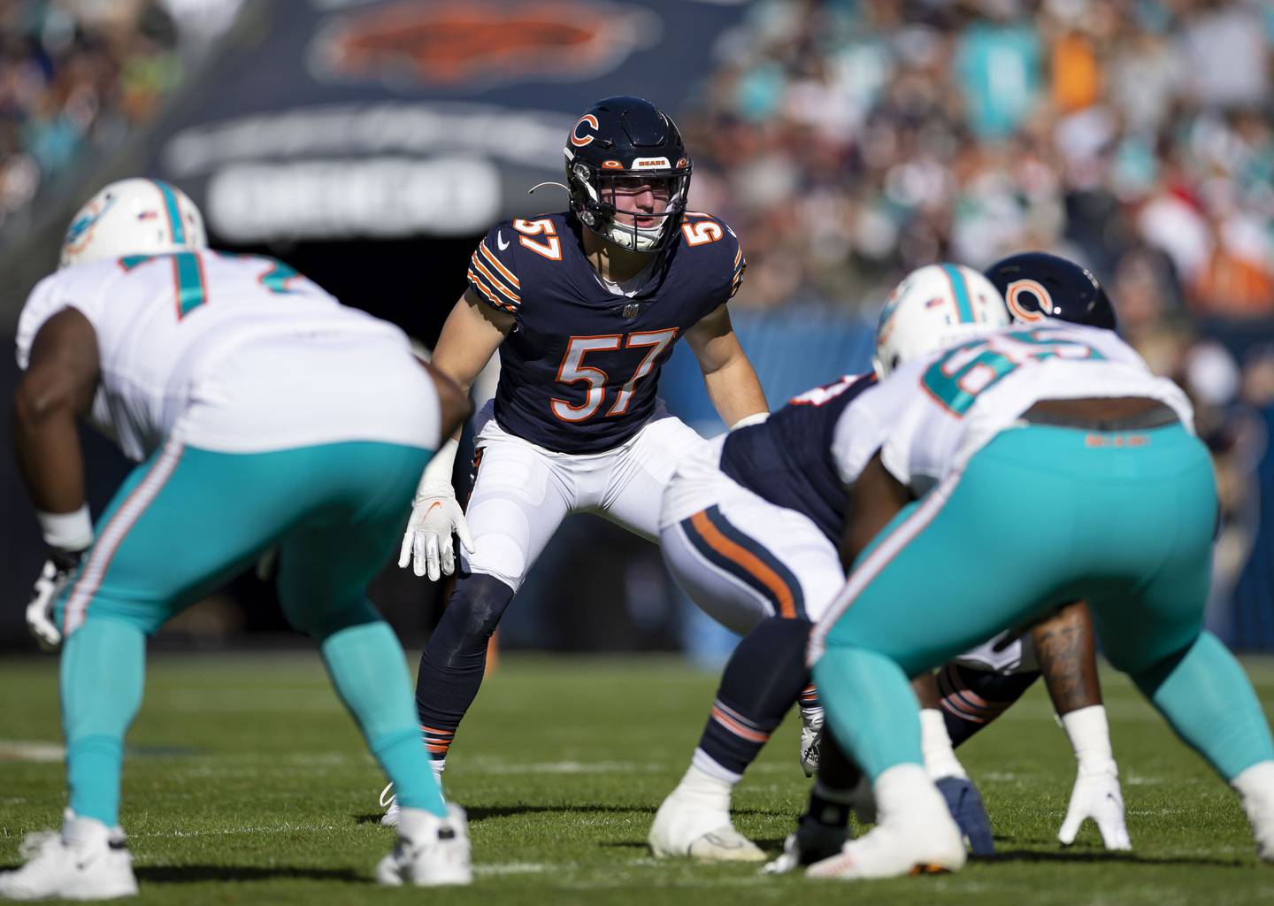 Chicago Bears linebacker Jack Sanborn (57), a Lake Zurich and Wisconsin product, lines up against the Dolphines on Sunday at Soldier Field. 