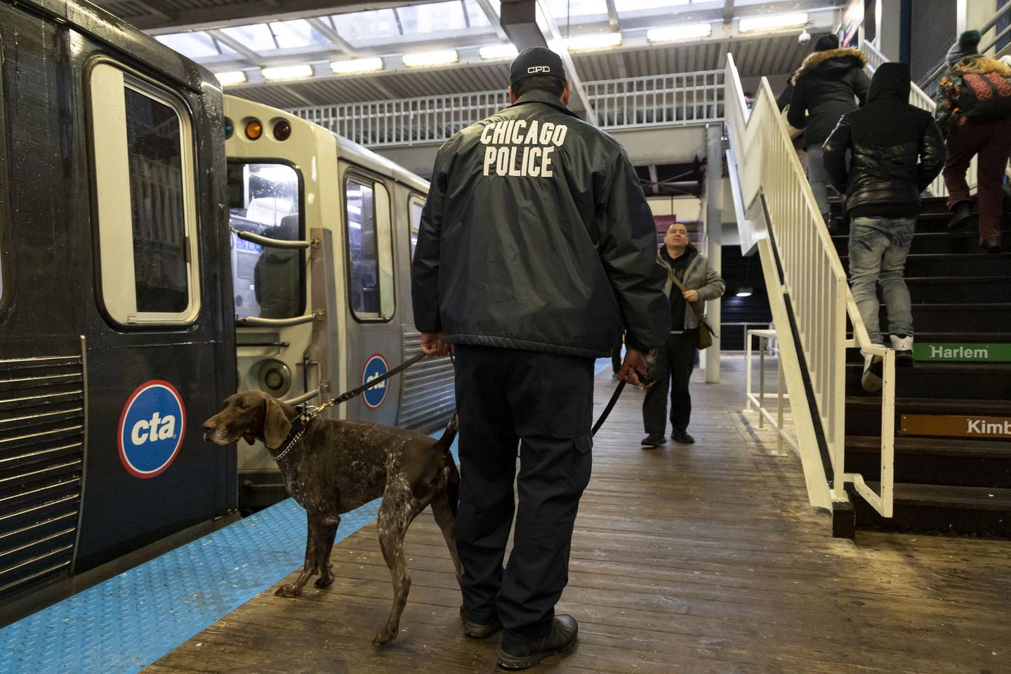 A K-9 unit of the Chicago Police Department Public Transportation Section walks the platform at the CTA “L” Clark/Lake station Nov. 15, 2022, as CPD holds a public roll call. 