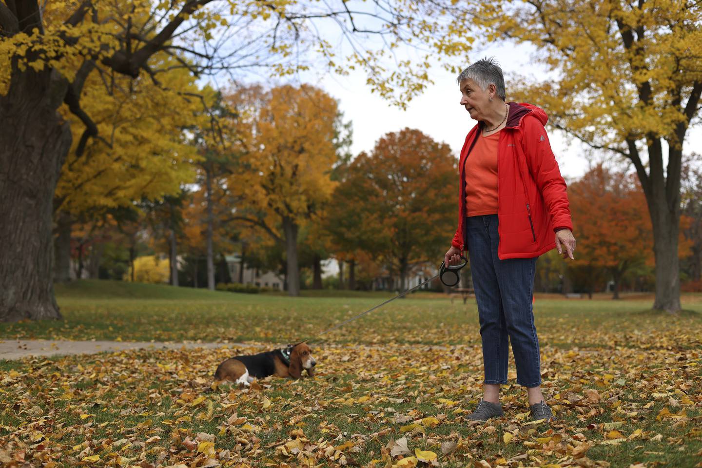 Colleen Root walks her dog Penny in Centennial Park on Oct. 24, 2022, in Winnetka. She's a Winnetka Park District board member who criticizes the proposed land swap.