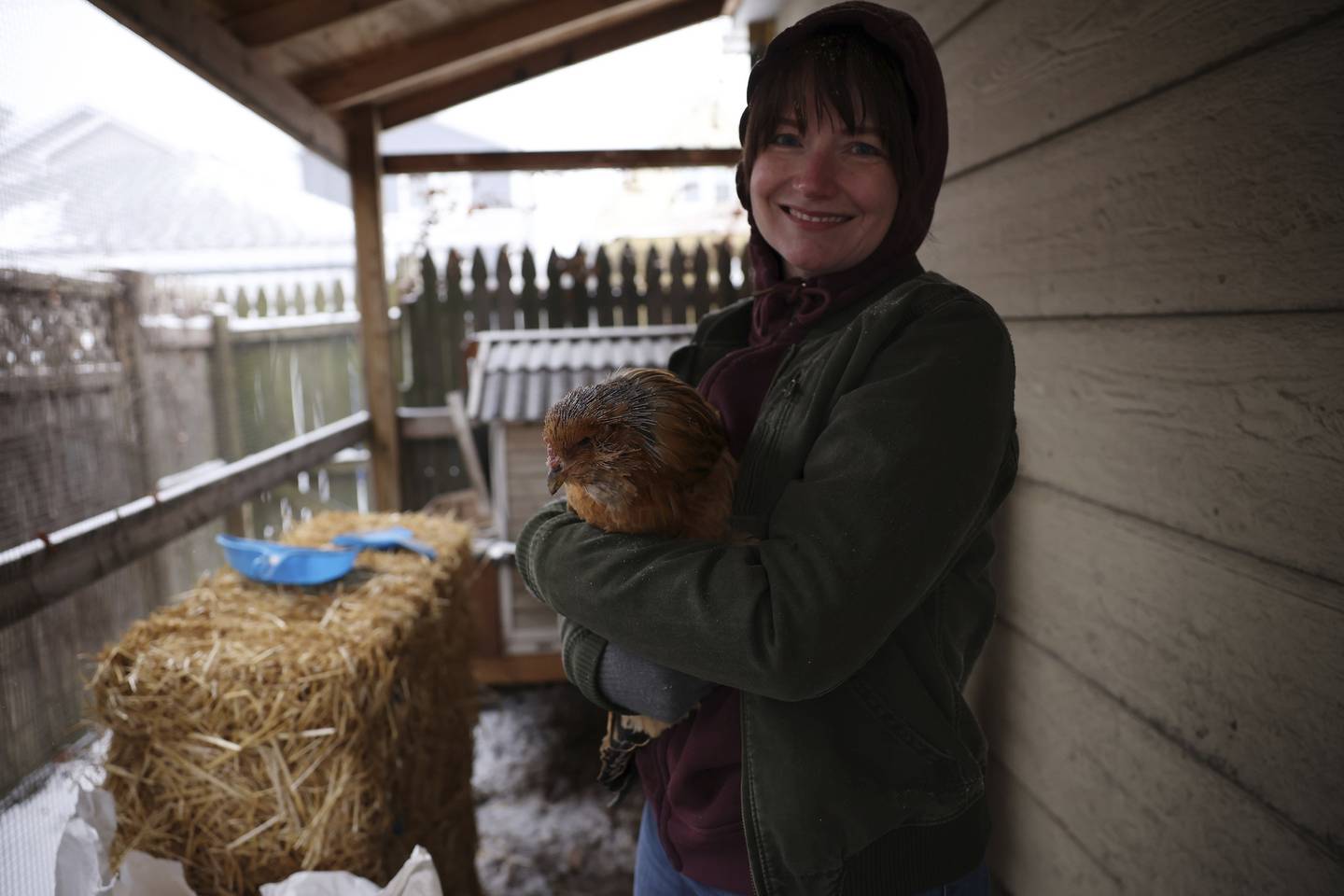 Taylor O'Brien holds one of her chickens during the winter storm at her home in Chicago on Dec. 22, 2022. Her family is putting bales of hay in the run where the coop is located to block the wind.