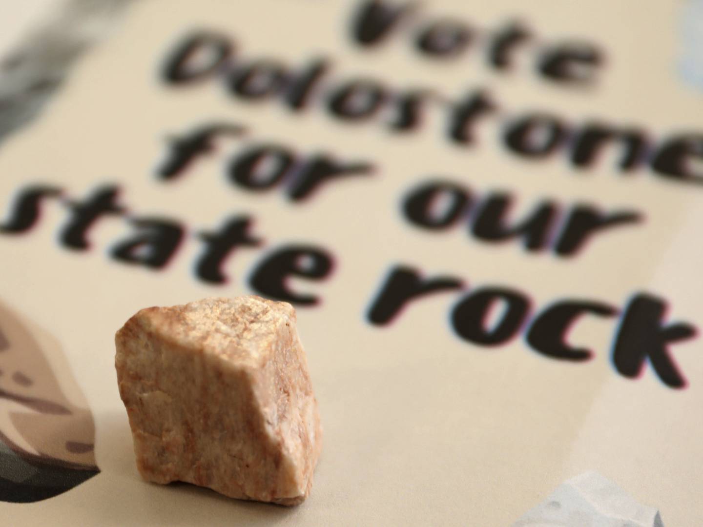 Dolostone becomes the official state rock, thanks to a lobbying effort that was joined by students at Pleasantdale Middle School in Burr Ridge.