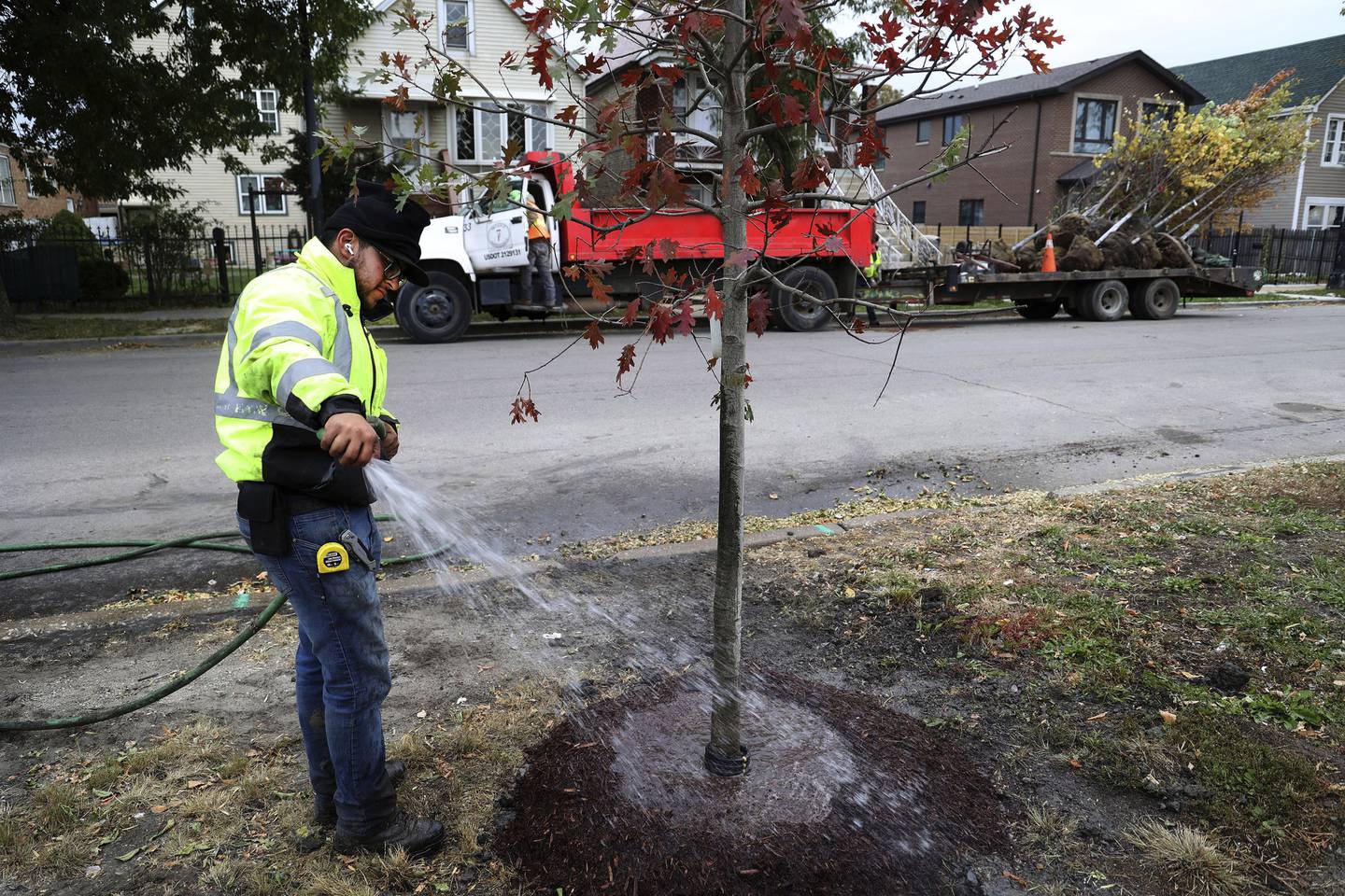 A Seven-D Construction Co. landscaper waters a tree after several were planted along the 3400 block of West Pershing Road in Chicago on Oct. 20, 2022.