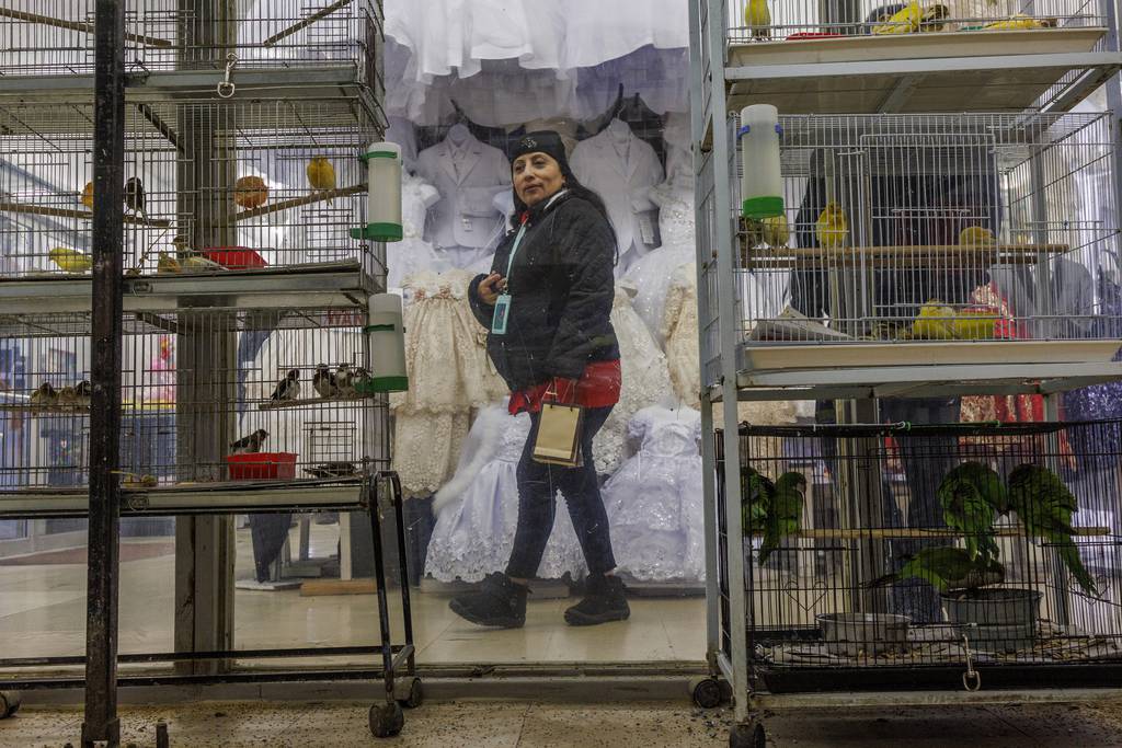 Blanca Serrano walks past a pet shop at the Little Village Discount Mall on Feb. 14, 2023, in Chicago. 