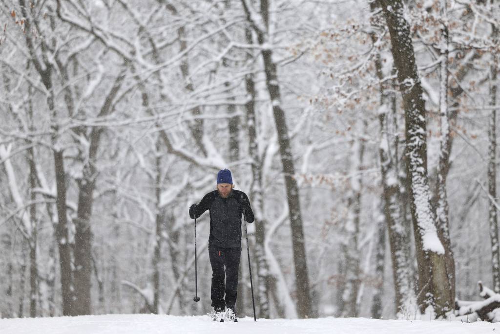 Jonathan Patrick of Arlington Heights cross-country skis in Deer Grove-East forest preserve on Jan. 25, 2023, in Palatine.