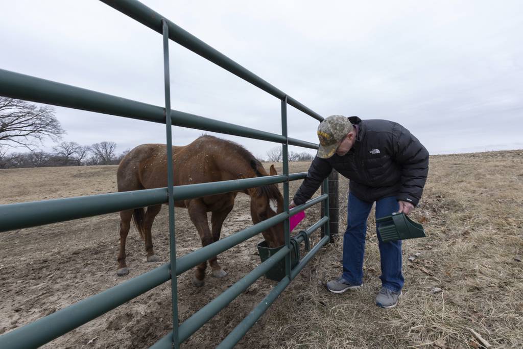 John Feltham feeds his horse Maya on the Feltham farm on  Feb. 24, 2023. Feltham, a farmer in Knox County, stands near the area for a proposed 1,300-mile carbon dioxide pipeline that would be placed under land his family has owned for more than 100 years.