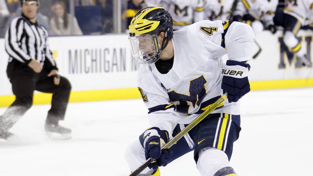 Michigan's Gavin Brindley plays during an NCAA hockey game on Nov. 25, 2022, in Ann Arbor, Mich.
