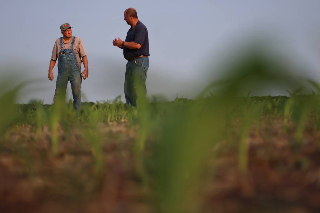 Frank Sanders, left, and his son, Eric Sanders, walk across their cornfield, May 18, 2023, in rural Nokomis. They are concerned about and opposed to a Navigator carbon dioxide pipeline running through their property.