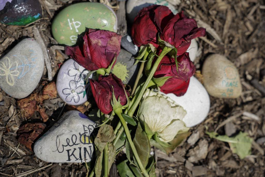 Roses lay on a memorial for one of the Fourth of July parade shooting victims on June 24, 2023, in Highland Park’s Rose Garden. 