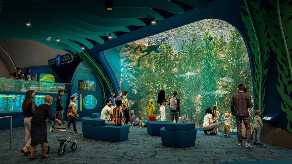 A rendering shows the Shedd Aquarium’s multi-story recreation of a California kelp forest, shown from the lower level.
