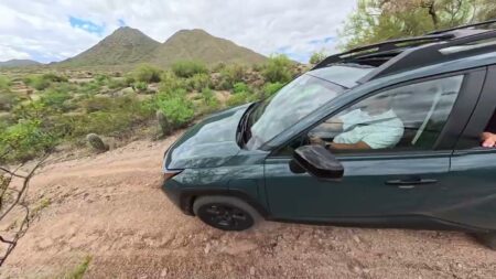 2026 Toyota RAV4 Off-Road Woodland