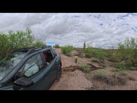 2026 Toyota RAV4 Woodland Off-Road in 360 Video