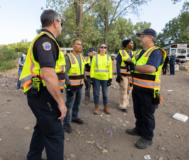 Pigs eye