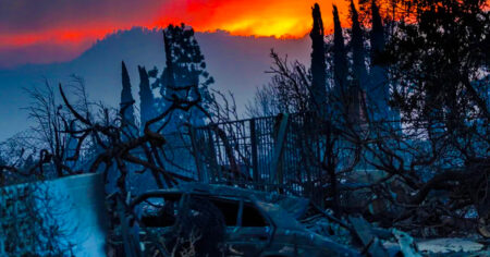 Edison Sparked the Fire That Destroyed Black Altadena