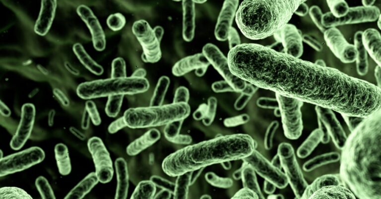 5 Deaths, 9 Cases: Louisiana Issues Flesh-Eating Bacteria Warning