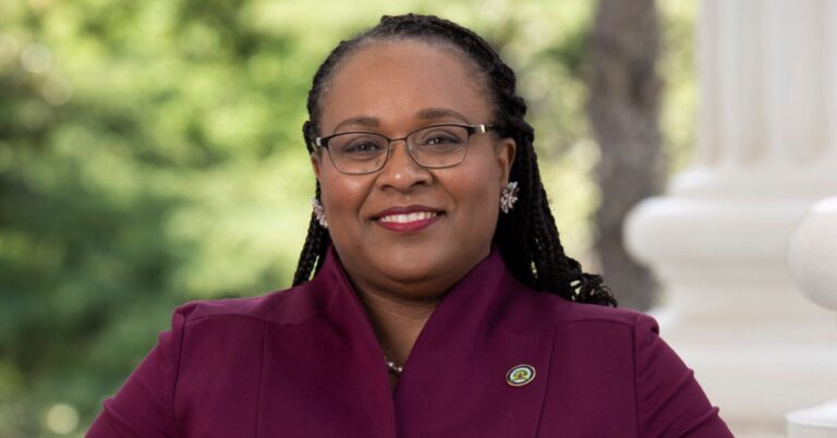 Beyond Politics: California Legislators Across Party Lines Celebrate Lori Wilson at 50