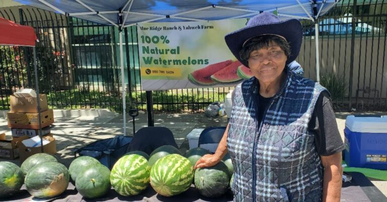 Agricultural Engineer Effie Gant Plans Bay Area Farmers Market Initiative